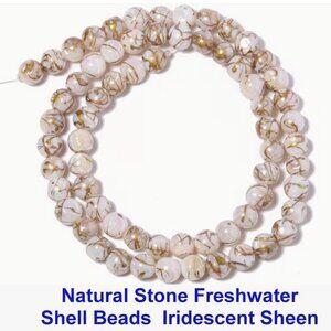 Natural Stone Freshwater  Shell Beads  Iridescent Sheen  15" Strand